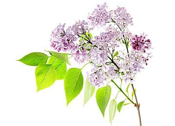 网易暴雪游戏客服团队视频道别：祝您生活愉快，再见